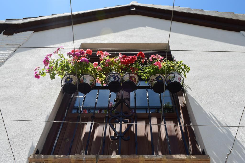 Carmen De Ramilla, Encantadora Guesthouse Con Piscina Soleada غرناطة المظهر الخارجي الصورة