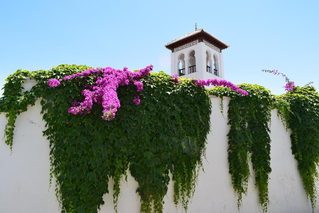 Carmen De Ramilla, Encantadora Guesthouse Con Piscina Soleada غرناطة المظهر الخارجي الصورة