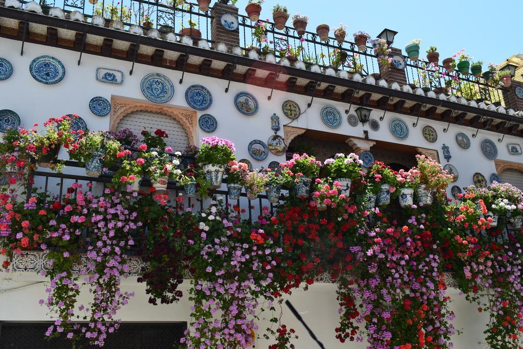 Carmen De Ramilla, Encantadora Guesthouse Con Piscina Soleada غرناطة المظهر الخارجي الصورة