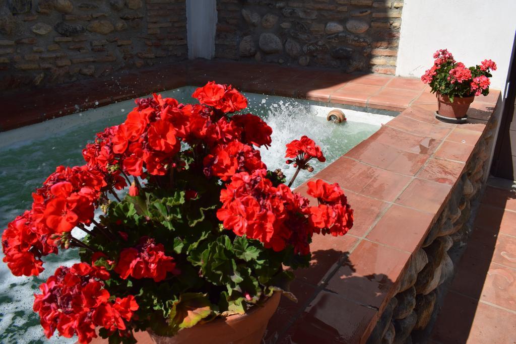 Carmen De Ramilla, Encantadora Guesthouse Con Piscina Soleada غرناطة المظهر الخارجي الصورة