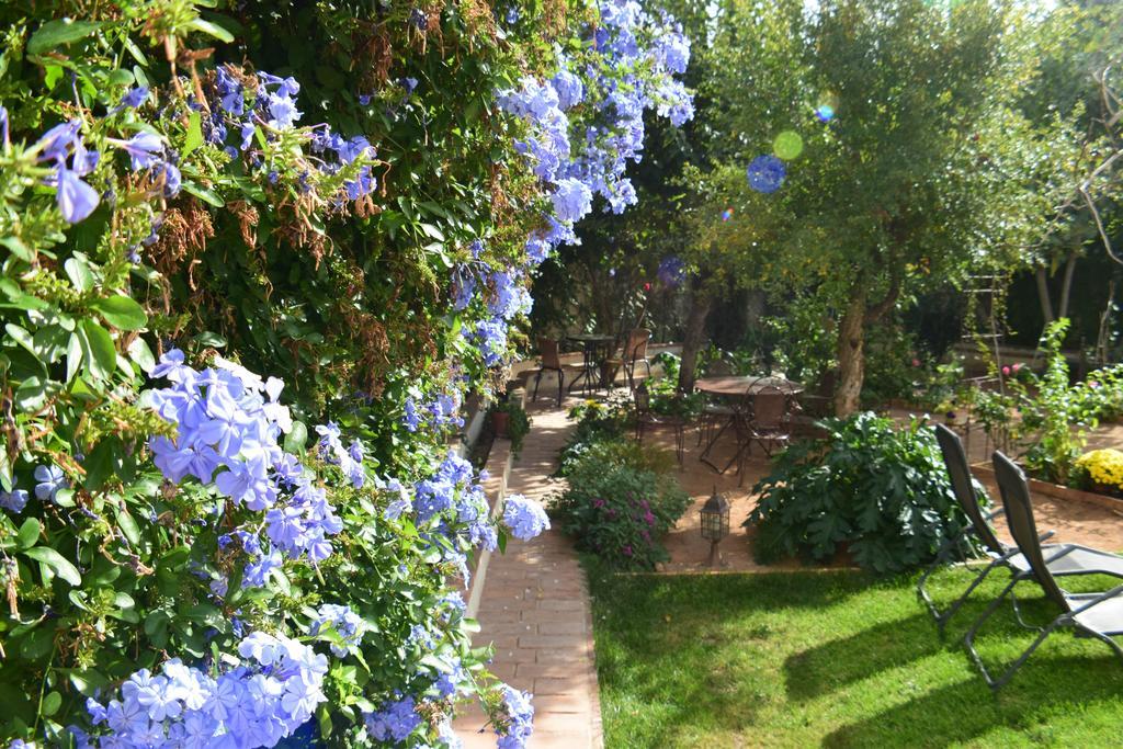 Carmen De Ramilla, Encantadora Guesthouse Con Piscina Soleada غرناطة المظهر الخارجي الصورة