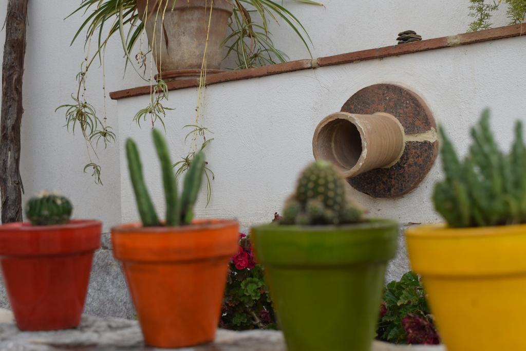 Carmen De Ramilla, Encantadora Guesthouse Con Piscina Soleada غرناطة المظهر الخارجي الصورة