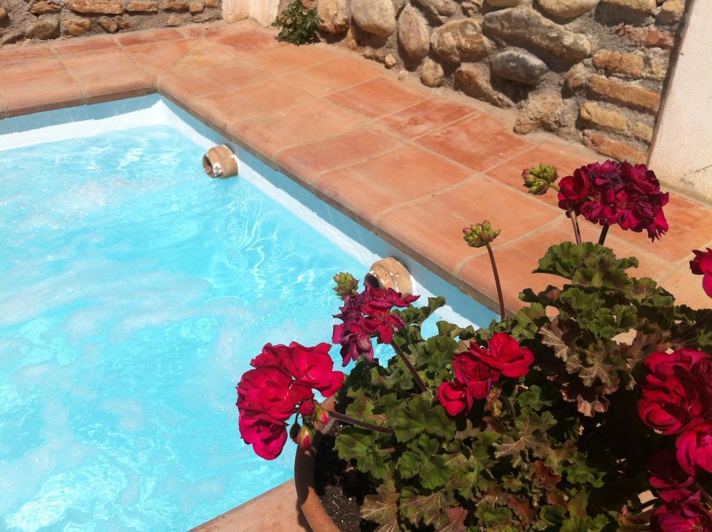 Carmen De Ramilla, Encantadora Guesthouse Con Piscina Soleada غرناطة المظهر الخارجي الصورة
